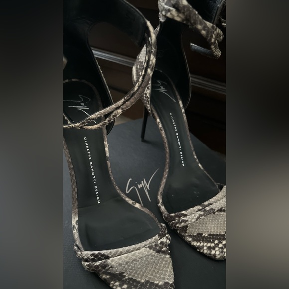 Giuseppe Zanotti - Picture 5 of 7